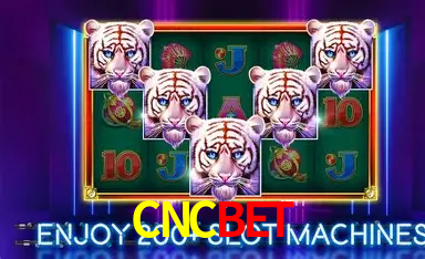 A Emoção da Loteria na CNCBET: Uma Chance de Mudança de Vida